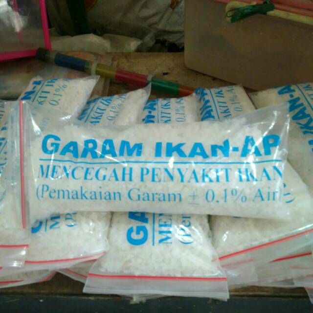 Garam ikan